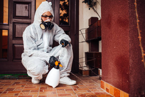 Reliable Wasp Removal contractor in Barclay, NJ by Show Me Pest Control